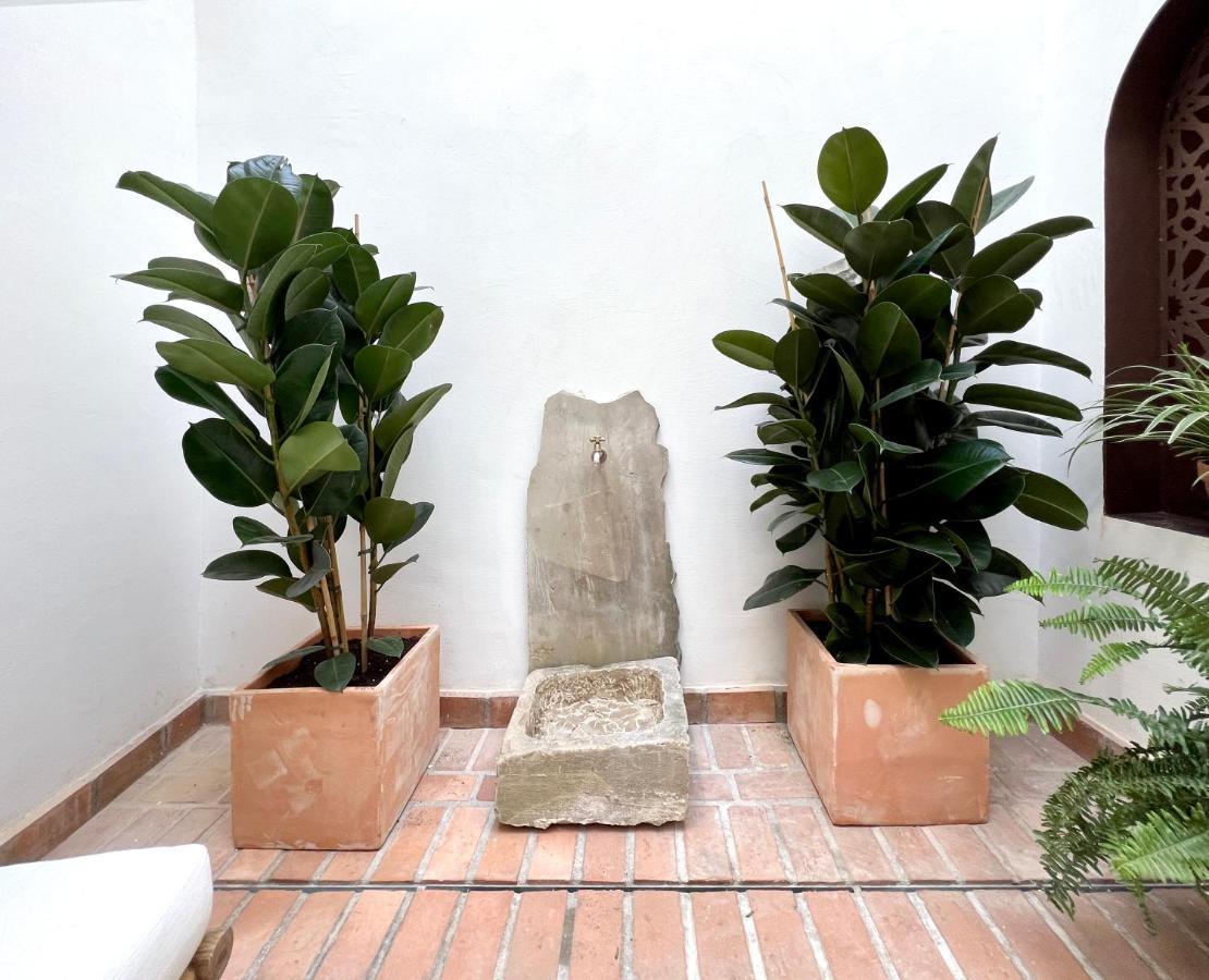 Arcos De Medina - Apartamentos Premium コルドバ エクステリア 写真